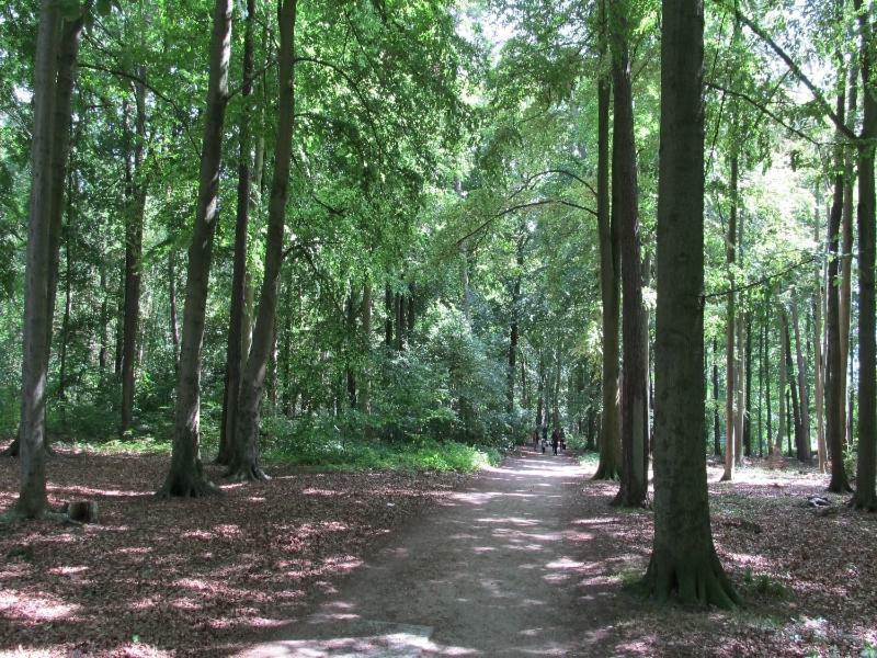 “Haus Am Kuestenwald” Ferienwohnungen Graal-Mueritz Extérieur photo